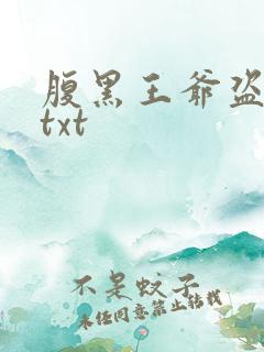 腹黑王爷盗墓妃txt