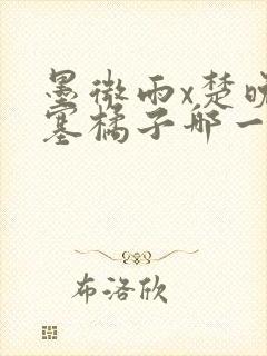 墨微雨x楚晚宁塞橘子哪一章