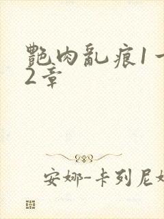 艳肉乱痕1一12章