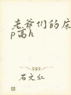 老爷们的床奴np高h