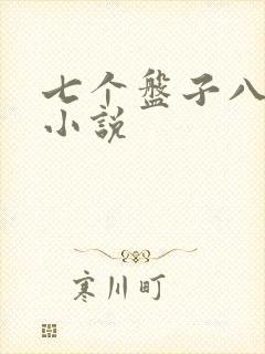 七个盘子八个碗小说