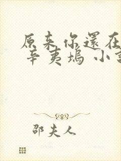 原来你还在这里 辛夷坞 小说