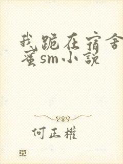 我跪在宿舍被闺蜜sm小说