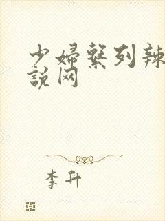 少妇系列辣文小说网