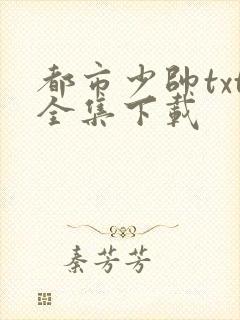 都市少帅txt全集下载