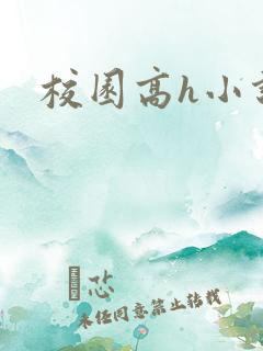 校园高h小说