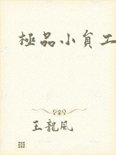 极品小员工
