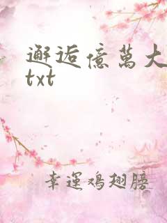 邂逅亿万大人物txt