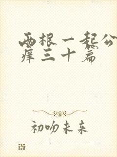 两根一起公憩止痒三十篇