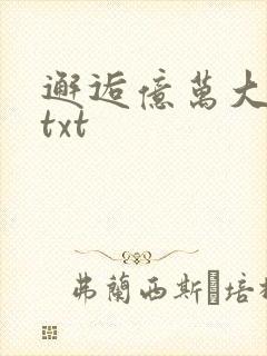 邂逅亿万大人物txt