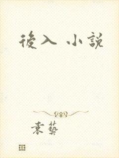 后入 小说