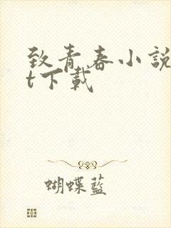 致青春小说txt下载