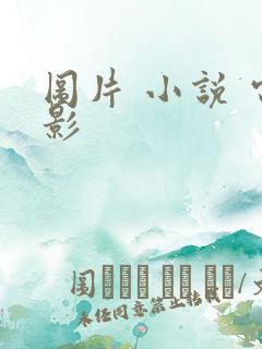 图片 小说 电影