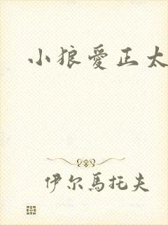 小狼爱正太