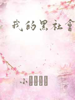 我的黑社会女友