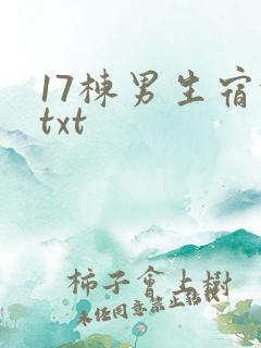 17栋男生宿舍txt