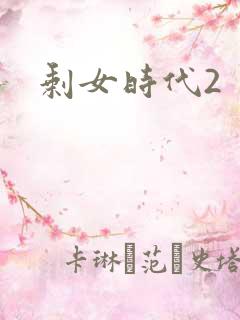 剩女时代2