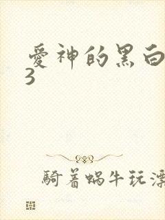 爱神的黑白羽翼3