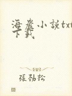 海岩小说txt下载