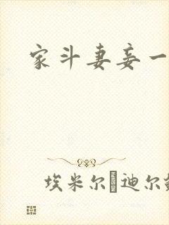 家斗妻妾一家欢