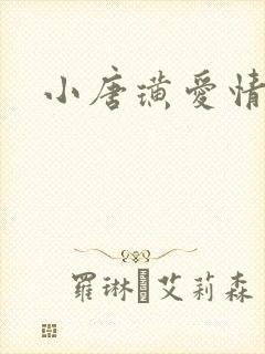 小唐璜爱情历史