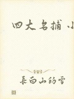 四大名捕 小说
