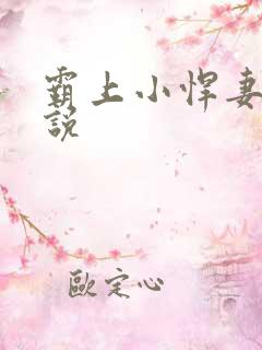 霸上小悍妻 小说