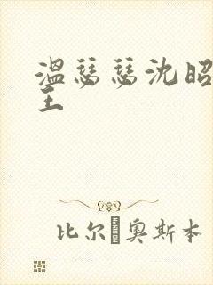 温瑟瑟沈昭摄政王