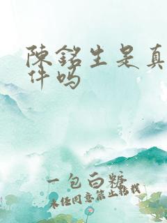 陈铭生是真实事件吗