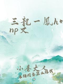 三龙一凤h啪肉np文
