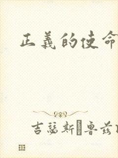 正义的使命小说