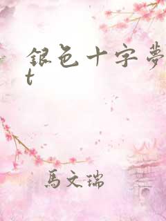 银色十字梦txt