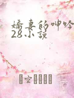 娇妻的呻吟1—28小说