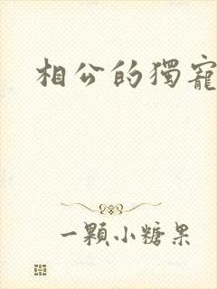 相公的独宠妻子