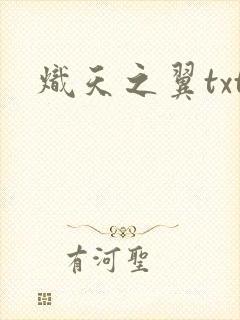 炽天之翼txt
