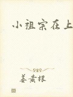 小祖宗在上