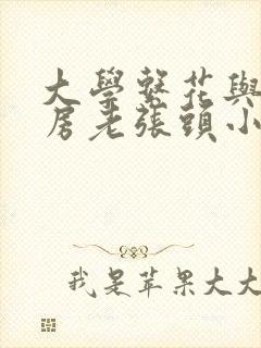 大学系花与锅炉房老张头小说