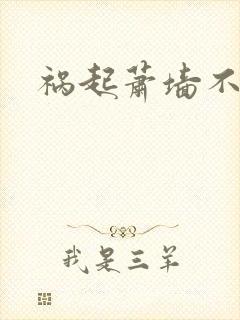 祸起萧墙不知戢