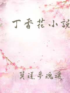 丁香花小说