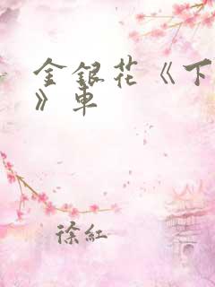 金银花《下厨房》车