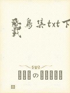 飞鸟集txt下载