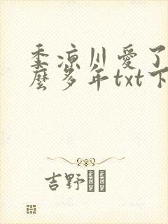 季凉川爱了你这么多年txt下载