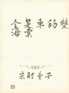 全是车的双男主海棠