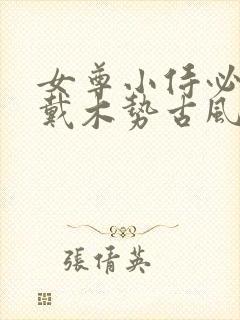 女尊小侍必须佩戴木势古风