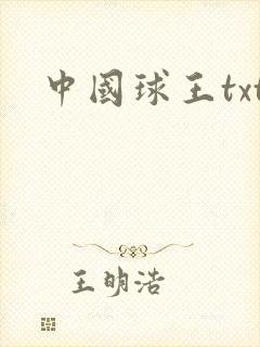 中国球王txt