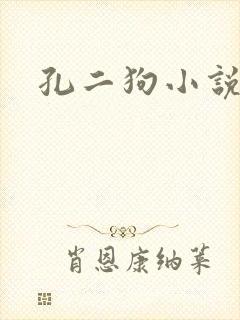 孔二狗小说