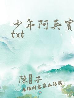 少年阿兵宾小说txt