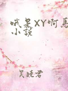 哦是XY啊马仔小说