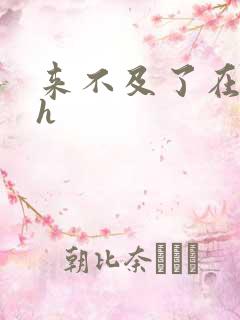 来不及了在车ch