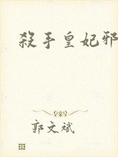 杀手皇妃邪魅帝